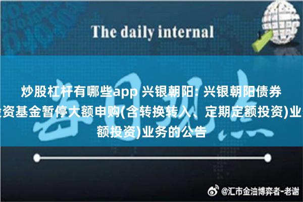 炒股杠杆有哪些app 兴银朝阳: 兴银朝阳债券型证券投资基金暂停大额申购(含转换转入、定期定额投资)业务的公告