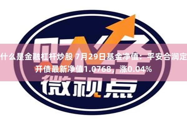 什么是金融杠杆炒股 7月29日基金净值：平安合润定开债最新净值1.0768，涨0.04%