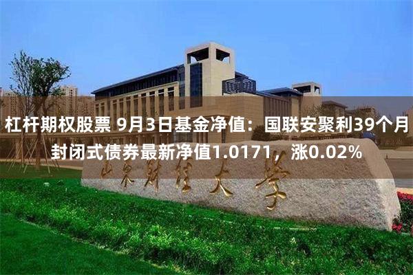 杠杆期权股票 9月3日基金净值：国联安聚利39个月封闭式债券最新净值1.0171，涨0.02%