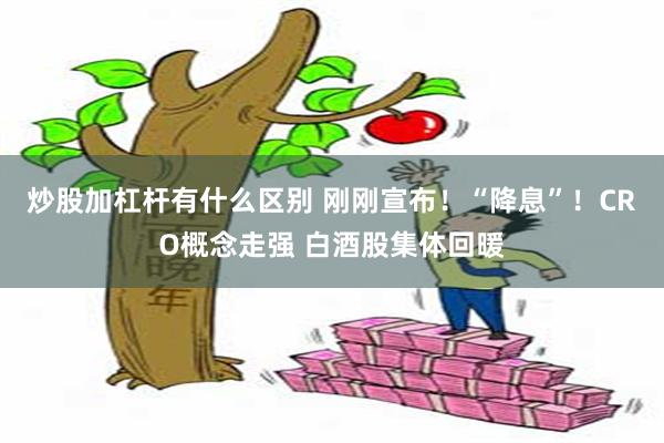 炒股加杠杆有什么区别 刚刚宣布！“降息”！CRO概念走强 白酒股集体回暖