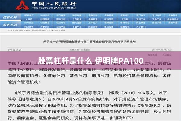 股票杠杆是什么 伊明牌PA100