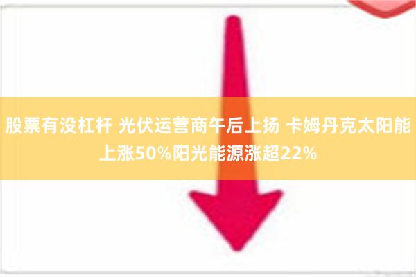 股票有没杠杆 光伏运营商午后上扬 卡姆丹克太阳能上涨50%阳光能源涨超22%