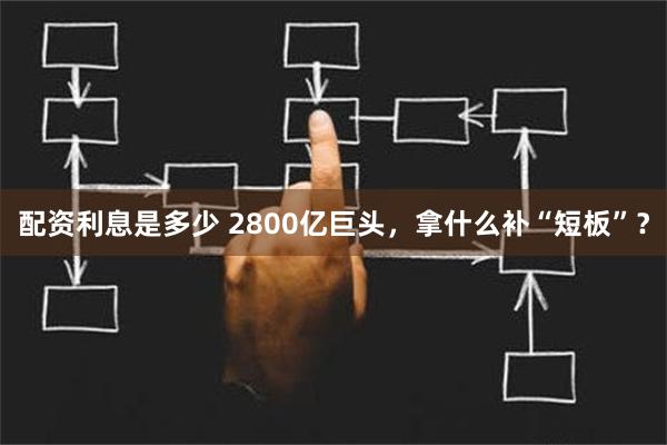 配资利息是多少 2800亿巨头，拿什么补“短板”？