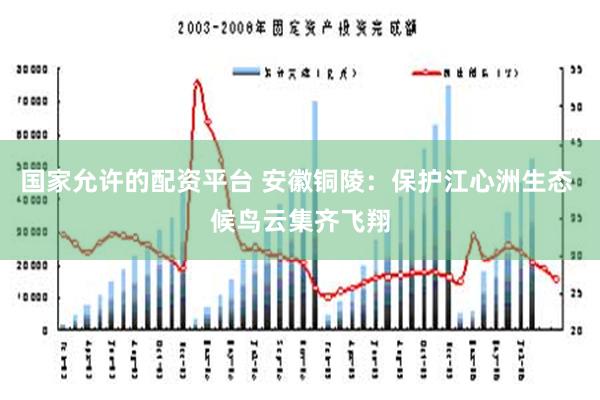 国家允许的配资平台 安徽铜陵：保护江心洲生态 候鸟云集齐飞翔