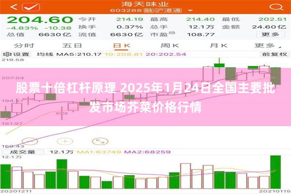 股票十倍杠杆原理 2025年1月24日全国主要批发市场芥菜价格行情